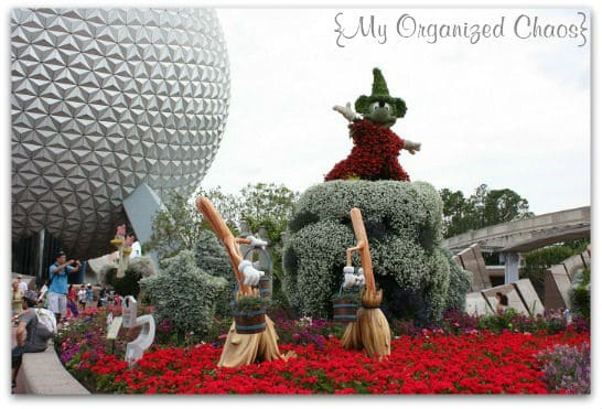 World and Epcot