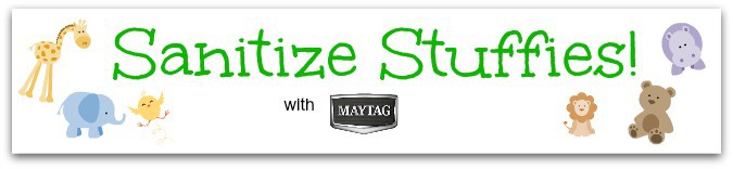 sanitize cycle maytag maxima xl blogger challenge
