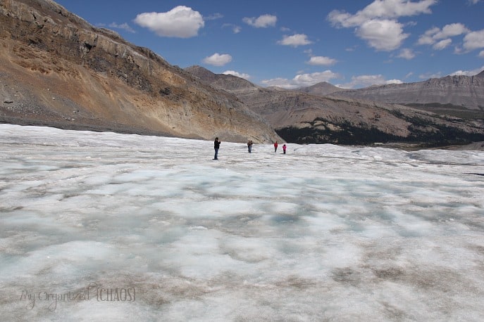 columbia glacier icefields alberta travel myorganizedchaos