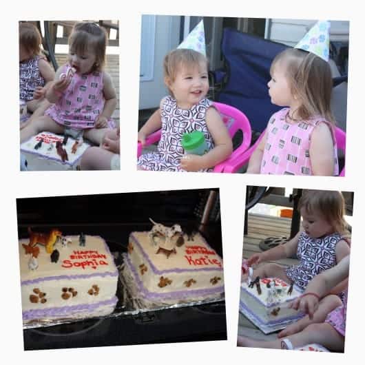 Twins-2nd-Birthday-Party