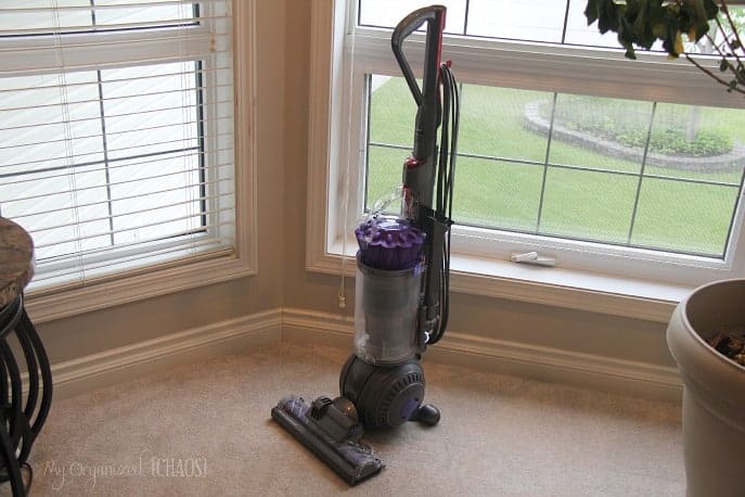 A close up dyson in front of a window