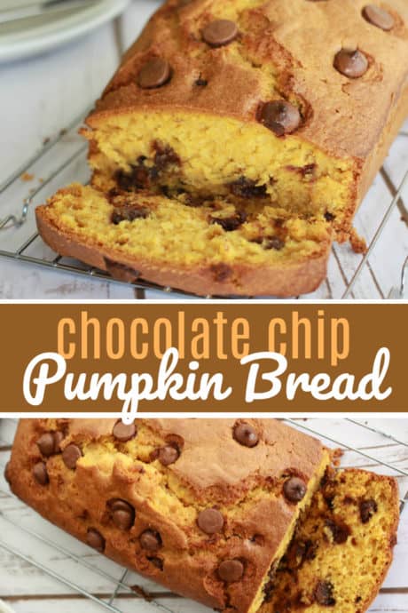 Chocolate Chip Pumpkin Bread, a great fall loaf recipe that uses pumpkin puree and key common ingredients most have on hand. Pumpkin all the things!