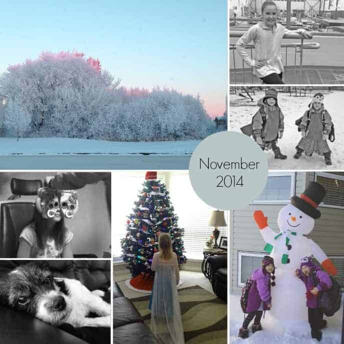 November 2014 month in photos myorganizedchaos