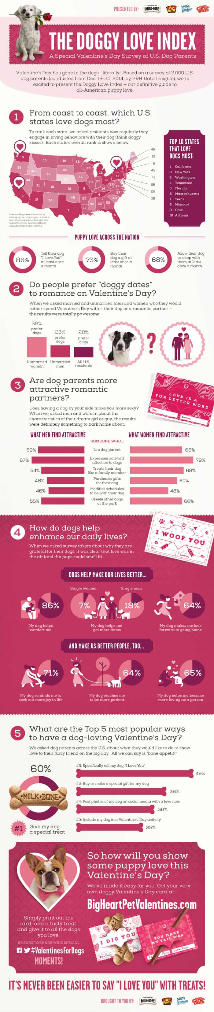 doggylove_infographic