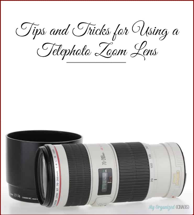 Tips and Tricks for Using a Telephoto Zoom Lens