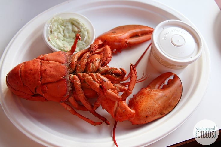 fresh lobster east coast canada new brunswick