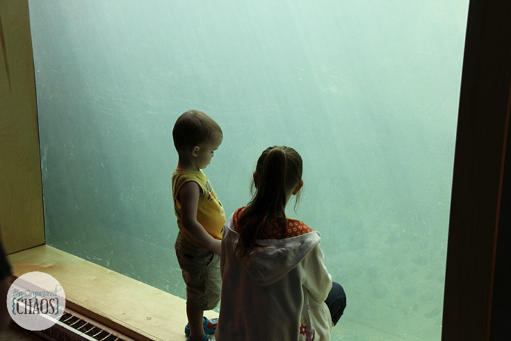 Fundy Aquarium family travel canada