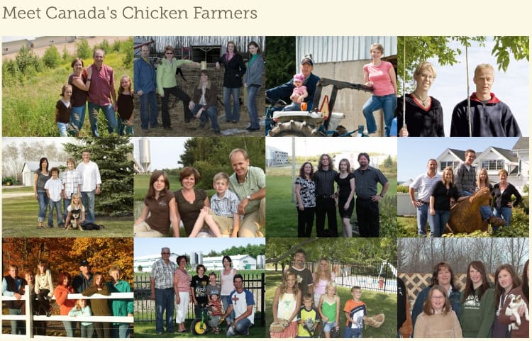 canadas chicken farmers