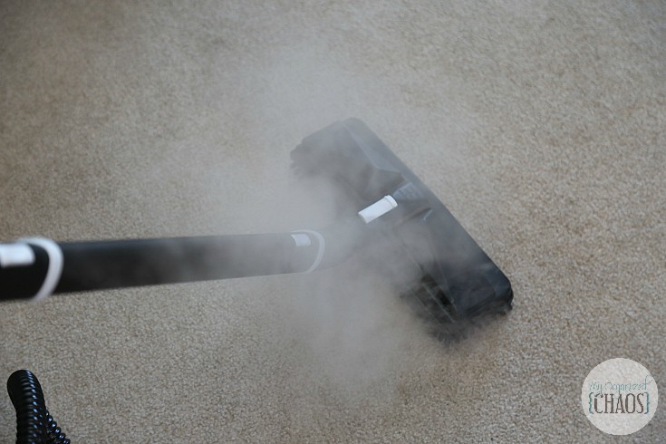 dupray steam cleaning carpet home