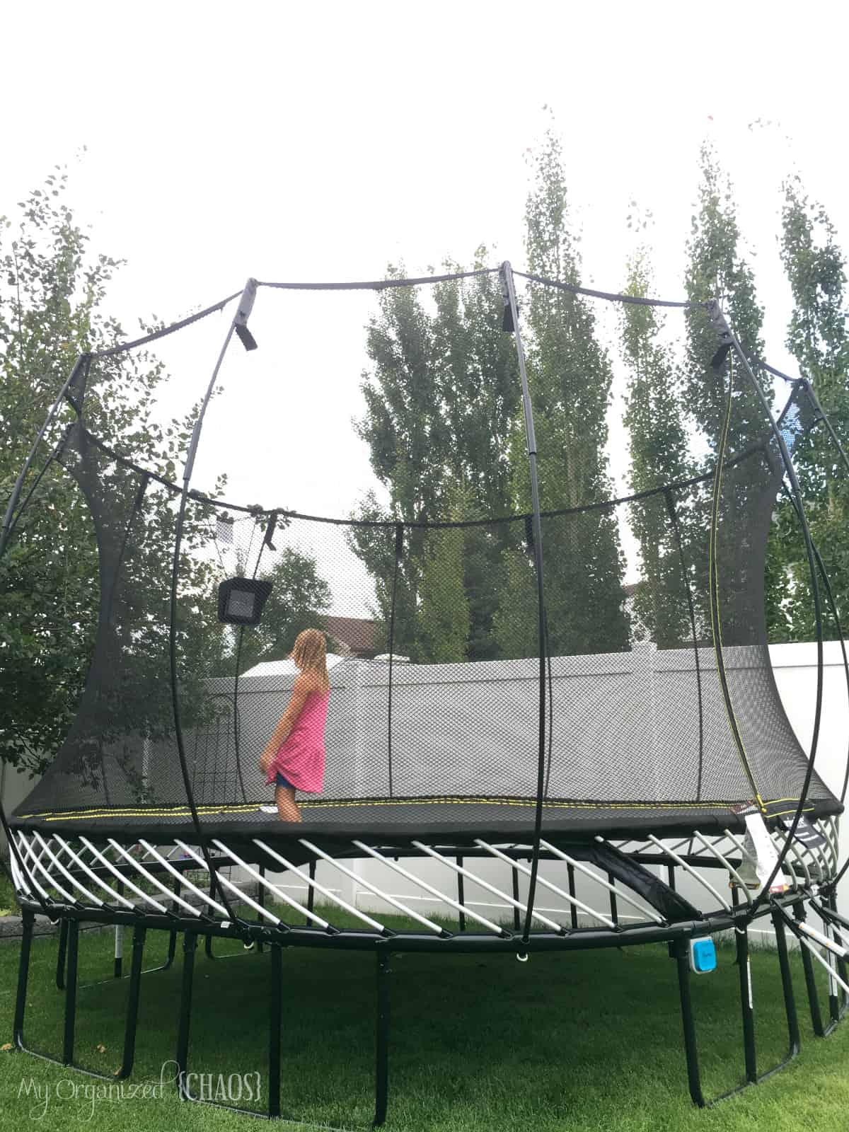 Happy Birthday Giveaway – Win a Springfree Trampoline at the Calgary Location