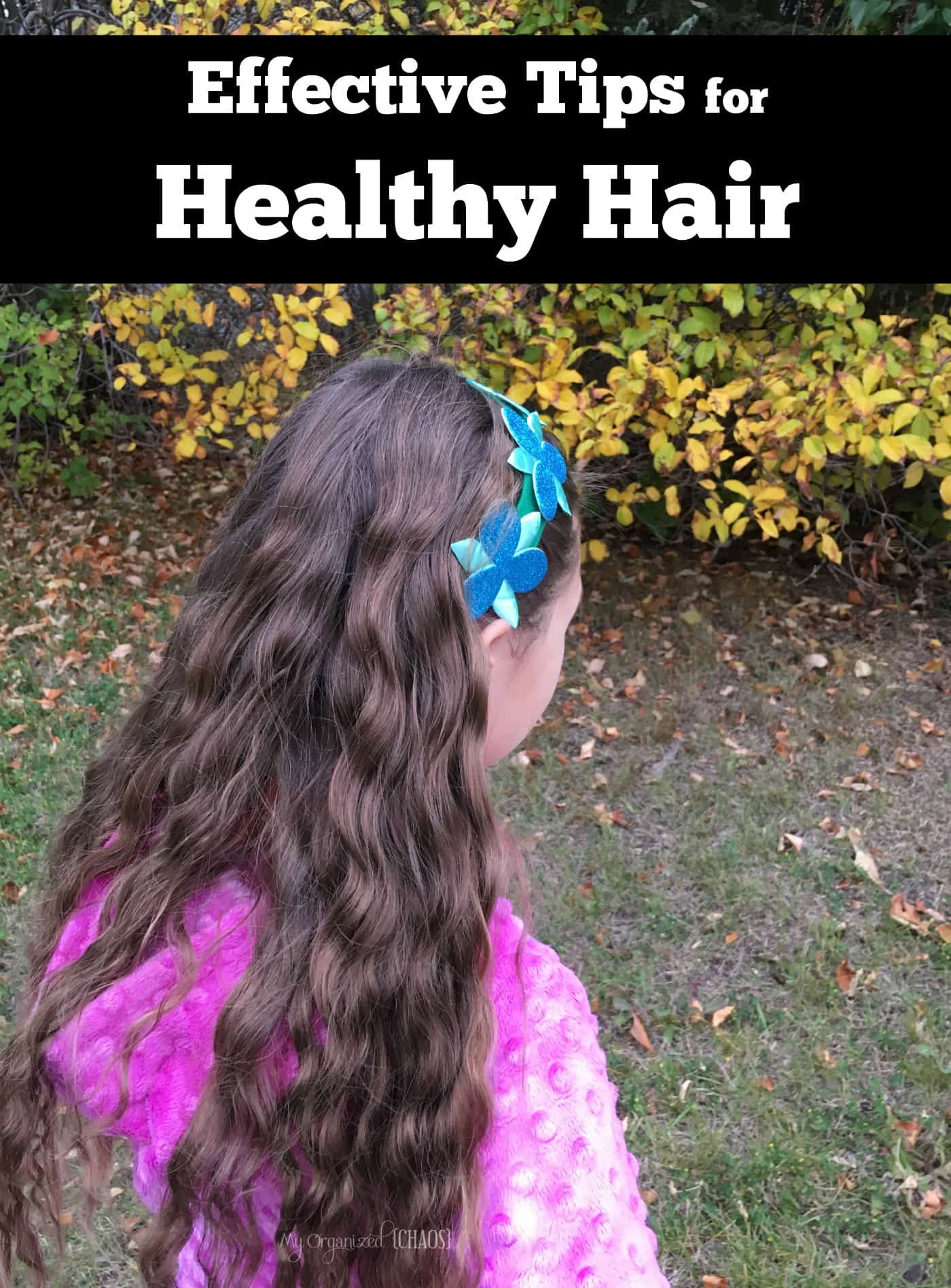 Effective Tips for Healthy Hair this fall season