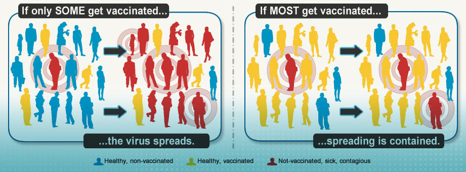 flu vaccines protect