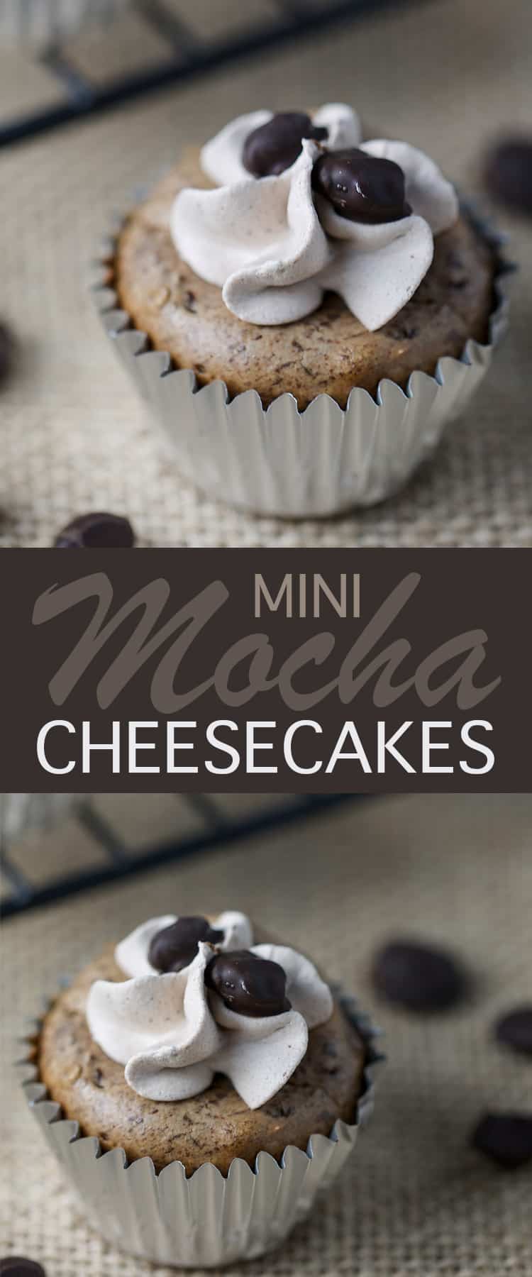 Mini Mocha Cheesecakes