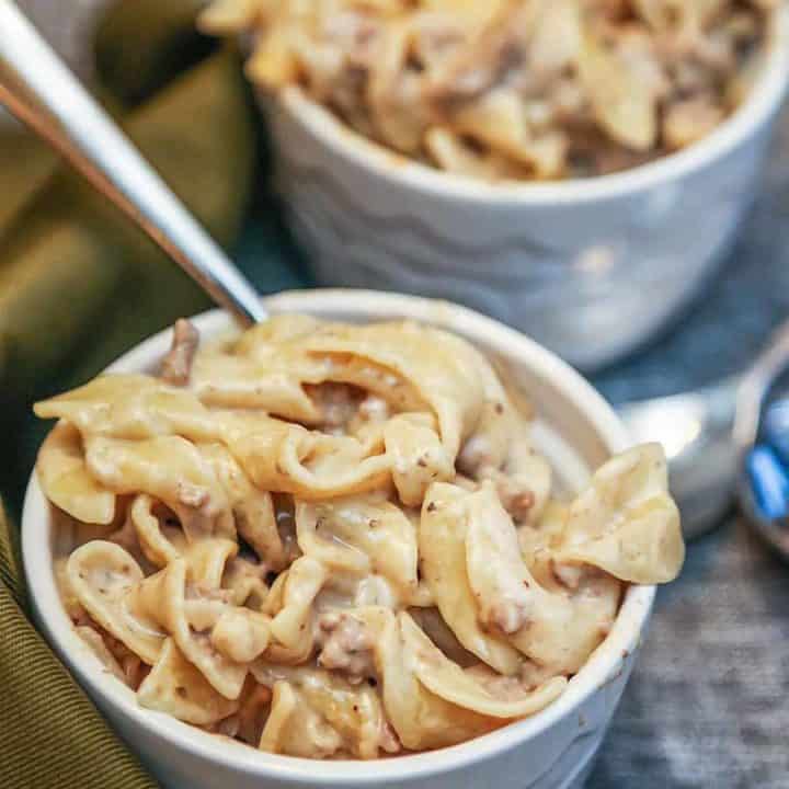 A bowl of food, with Beef Stroganoff