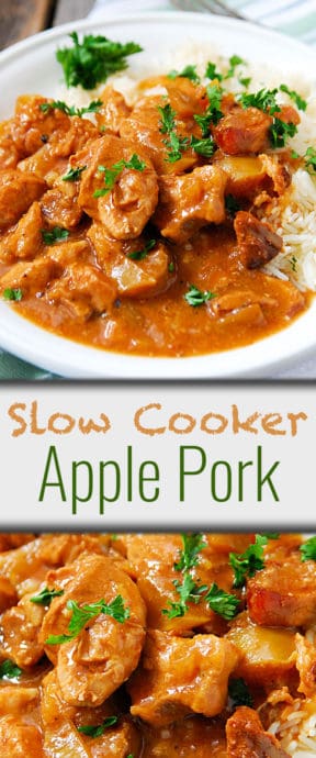 A close up of a plate of food, with Pork and Apple
