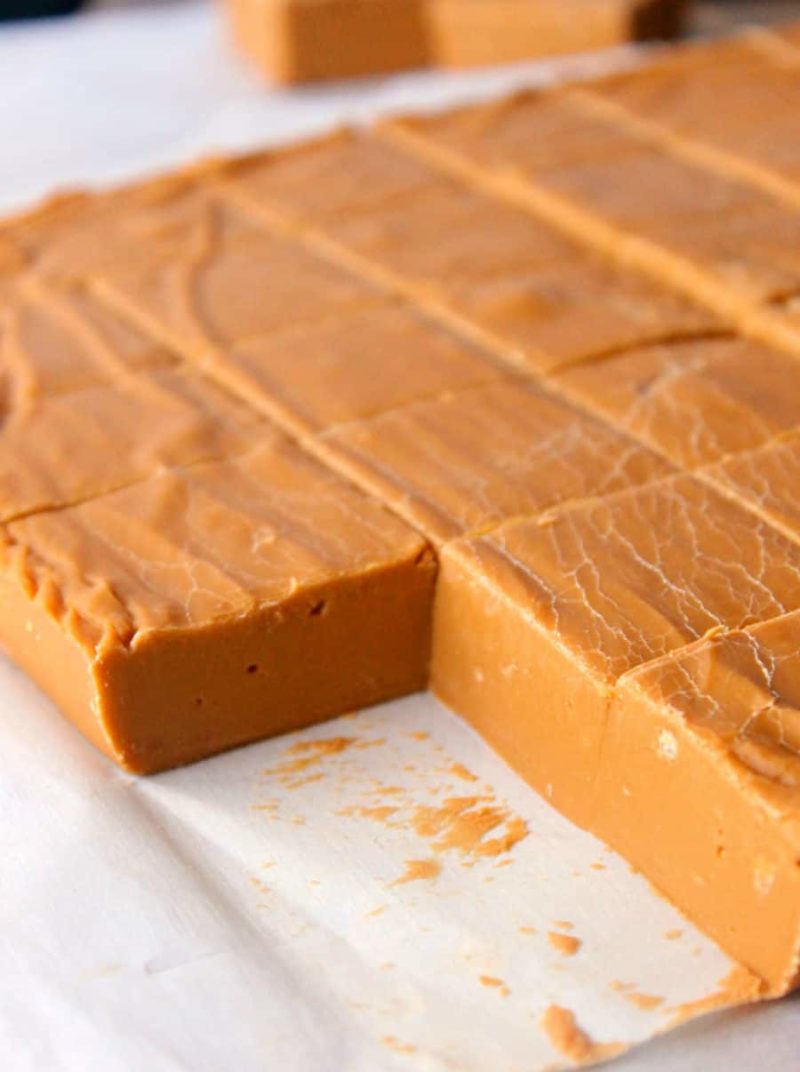 A close up of a slice of fudge on a plate, with Fudge