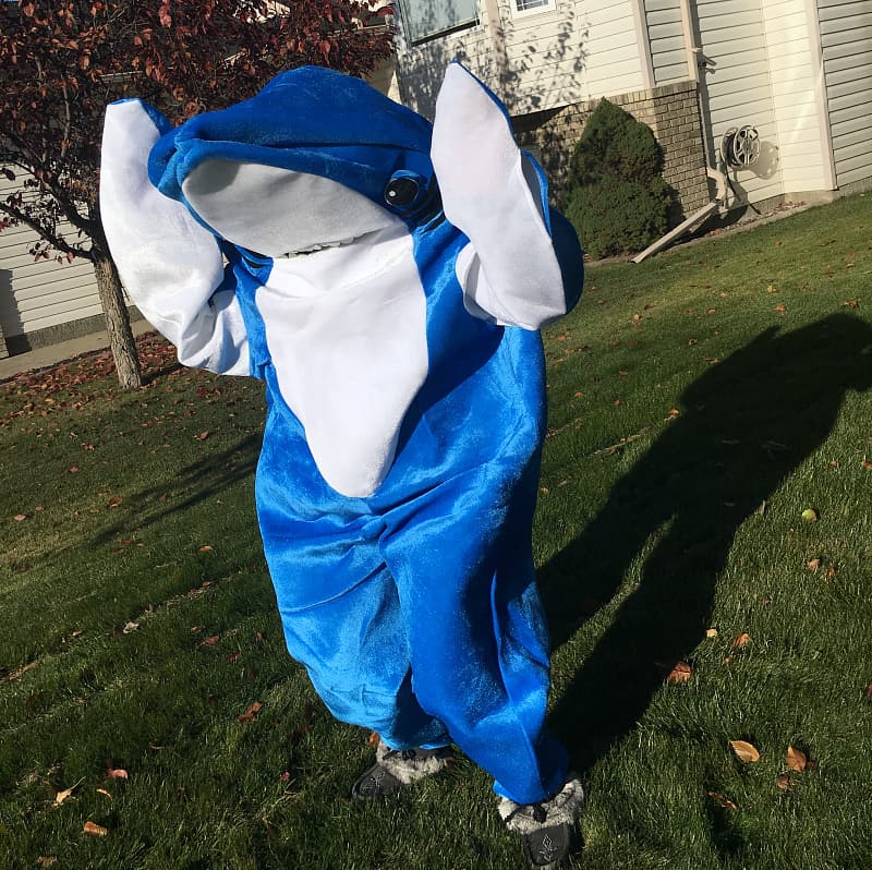 Baby Shark halloween Costume