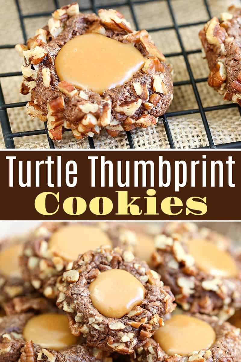 A bunch of different types of chocolate turtle Cookie