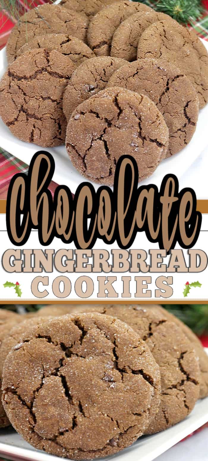 Cookies on a plate with gingerbread Chocolate with Text