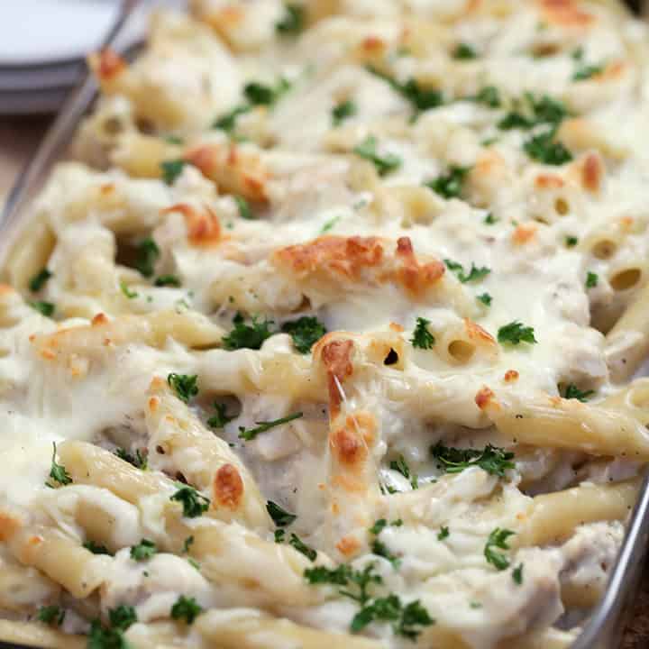 cooked chicken alfredo in a dish