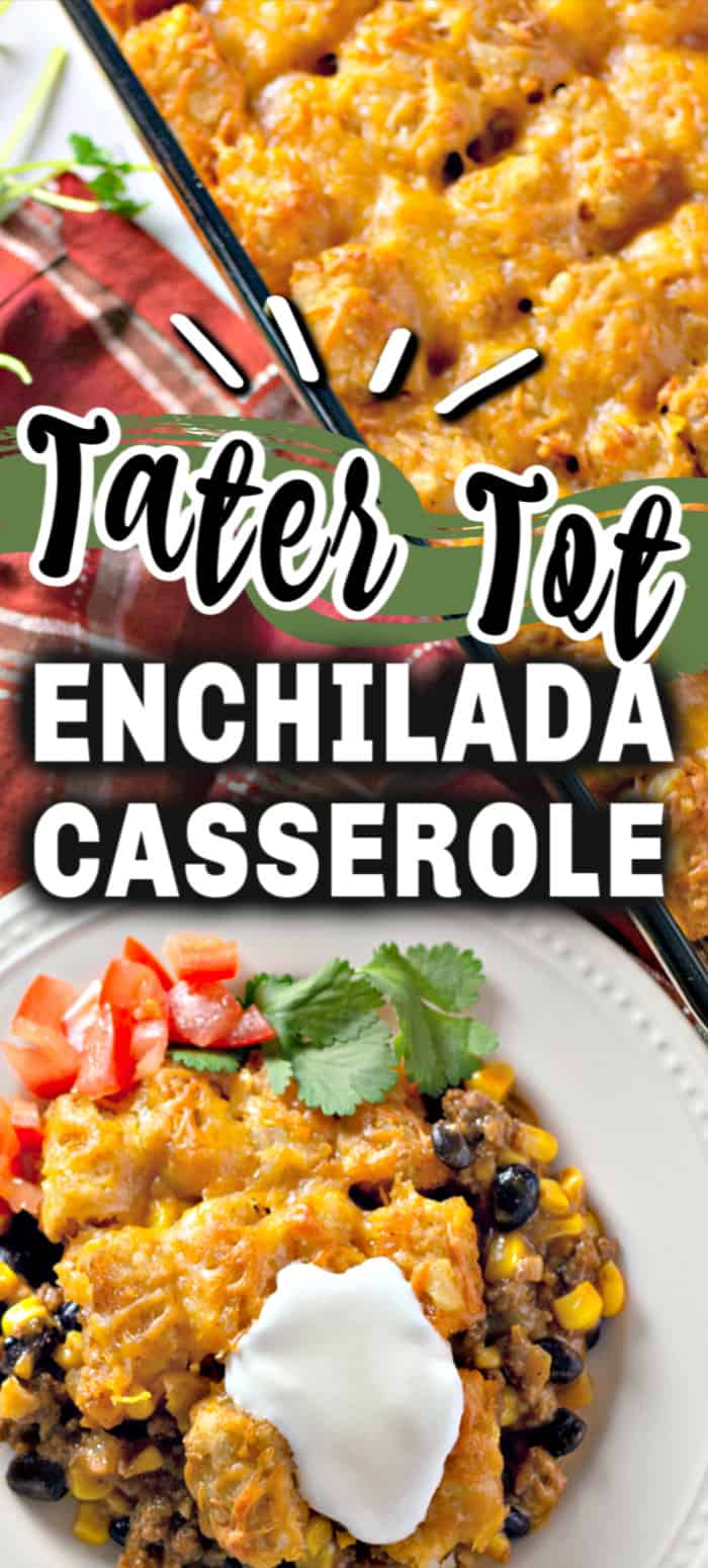 A plate of food, with Enchilada and Tater tots