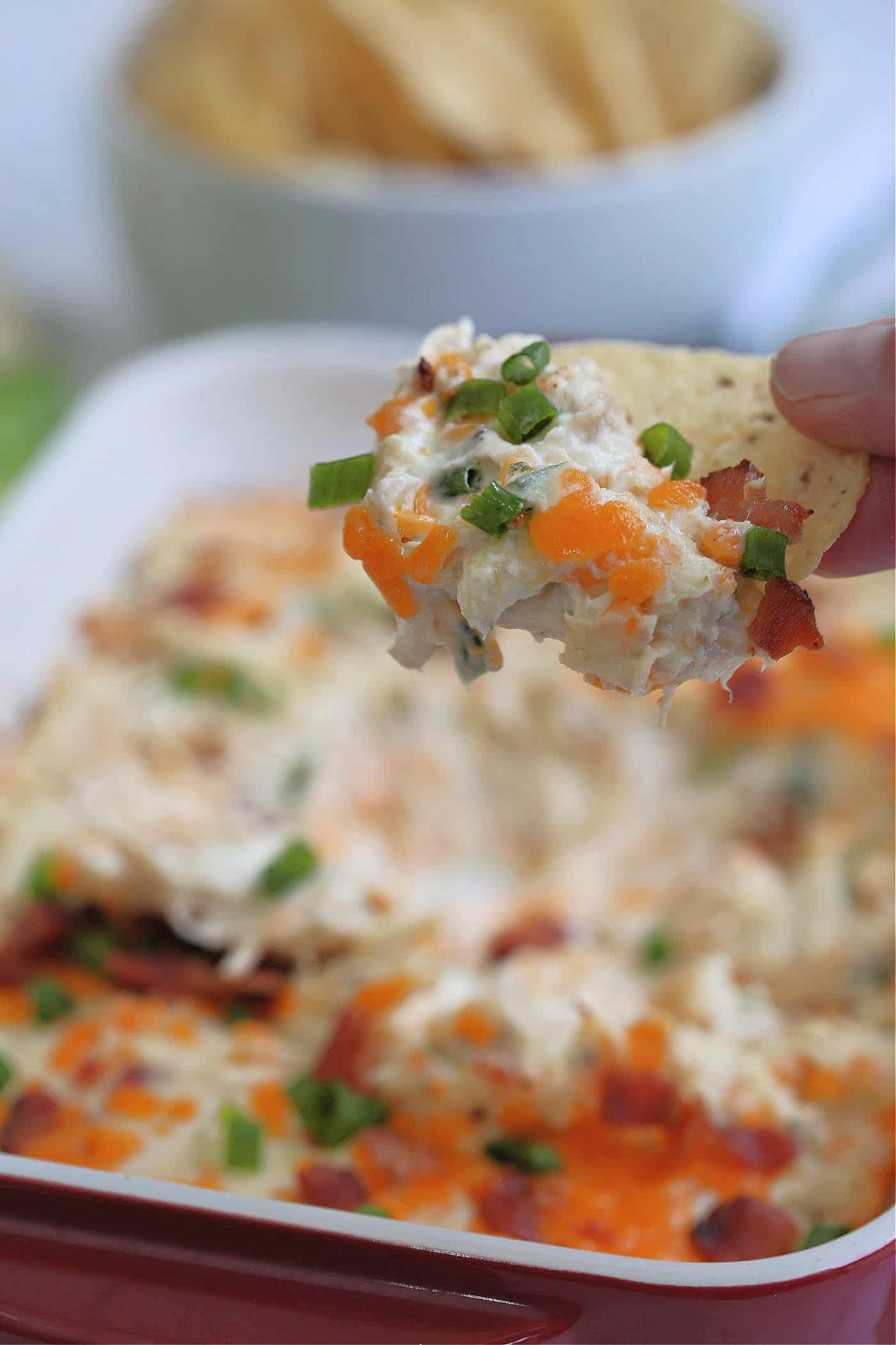 warm loaded chicken dip on a chip
