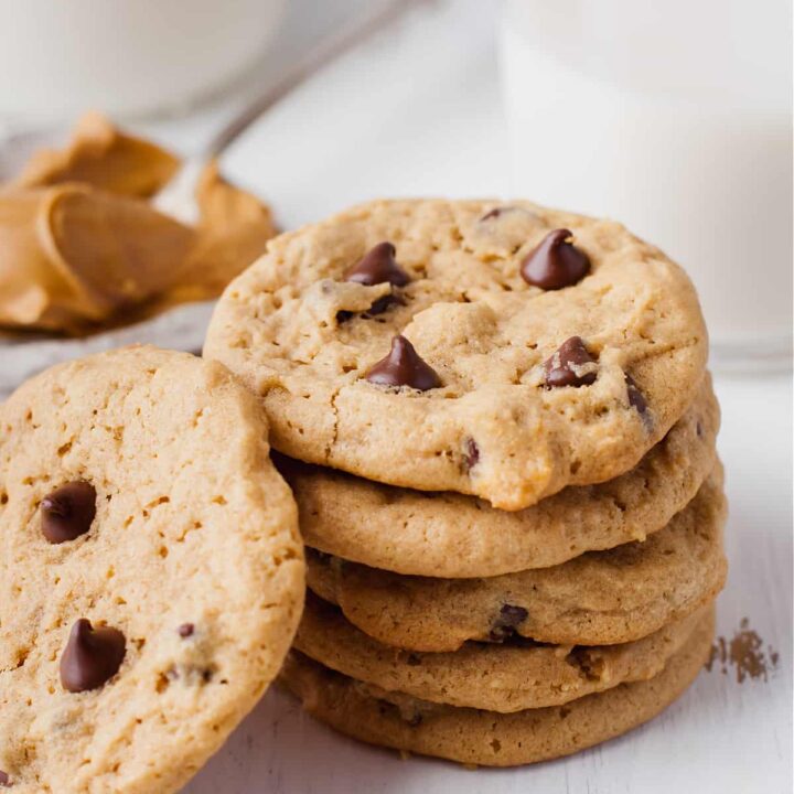 a stack of 5 cookies and one on its side beside it