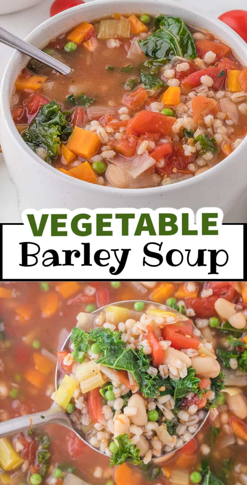 food, with Vegetable Barley Soup
