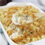 cooked Jalapeño Popper Mac and Cheese with panko breadcrumbs on top being lifted out of a white casserole dish with a wooden spoon