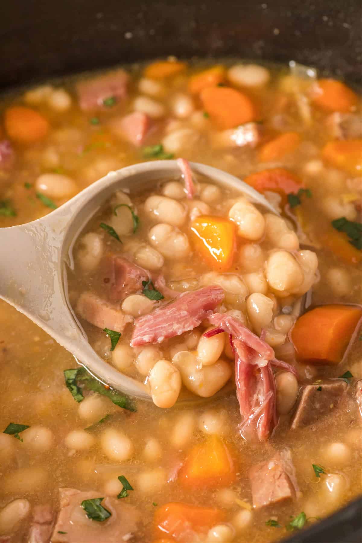 food, with Crockpot Ham and Bean Soup