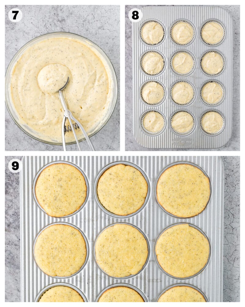 cupcake batter with poppyseeds in it in a glass bowl with a cookie scoop, and a muffin tin with cake batter inside the cupcake liners, and baked cupcakes.