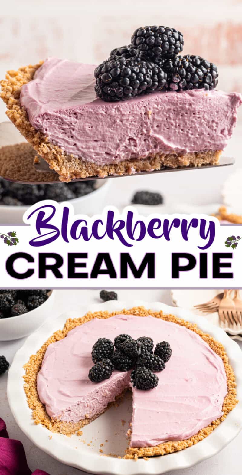 Blackberry Cream Pie in a graham cracker crust with fresh blackberries on top, with a slice of blackberry cream pie.
