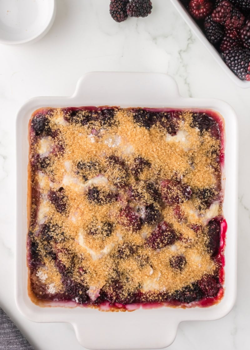 Blackberry cobbler in a white dish.