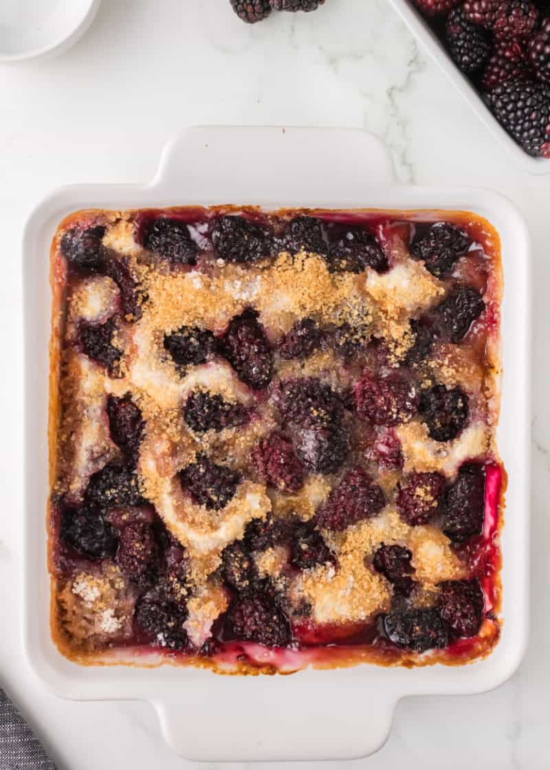 Blackberry cobbler in a white dish.