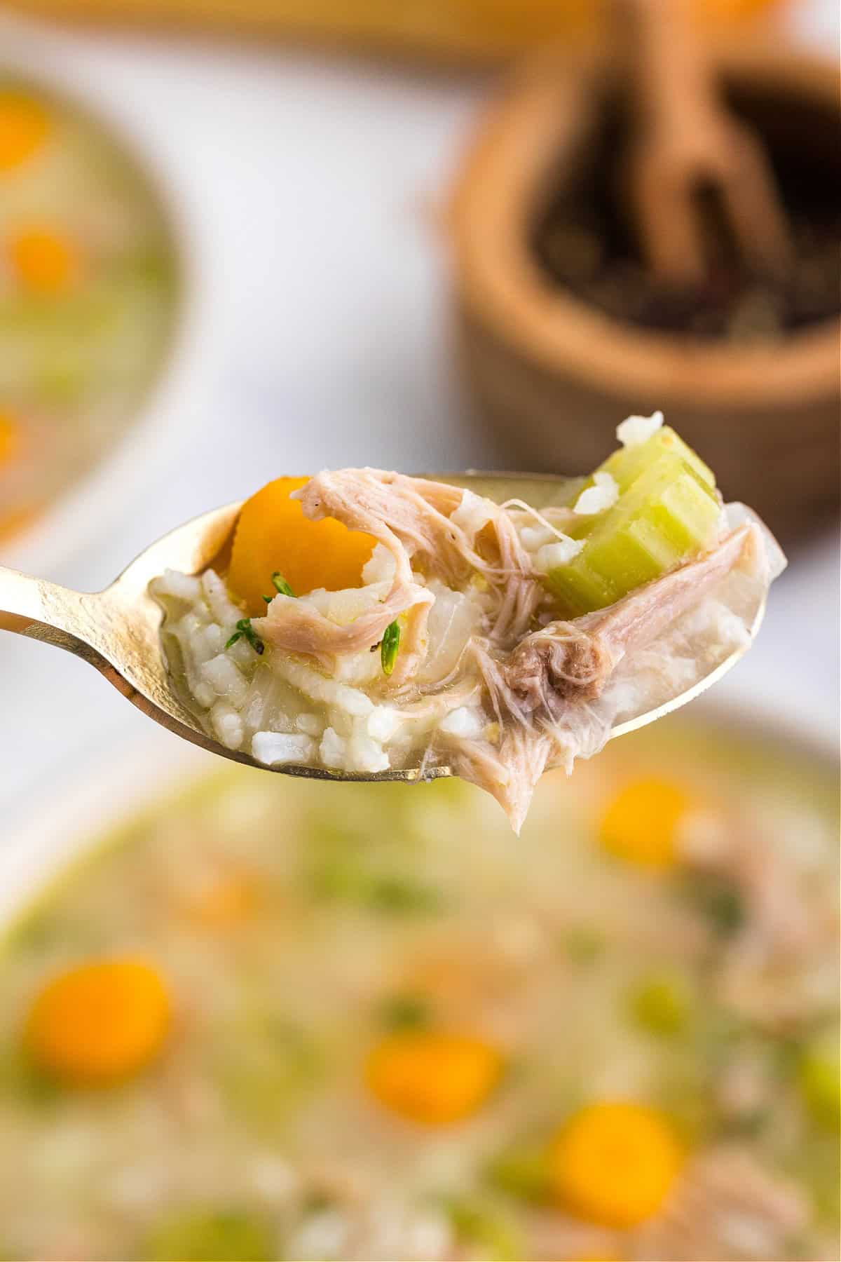 Turkey and Rice Soup on a spoon.