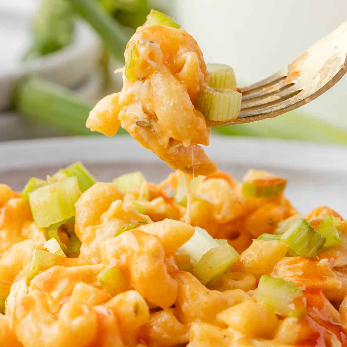 buffalo chicken macaroni and cheese being picked up from a plate by a fork.