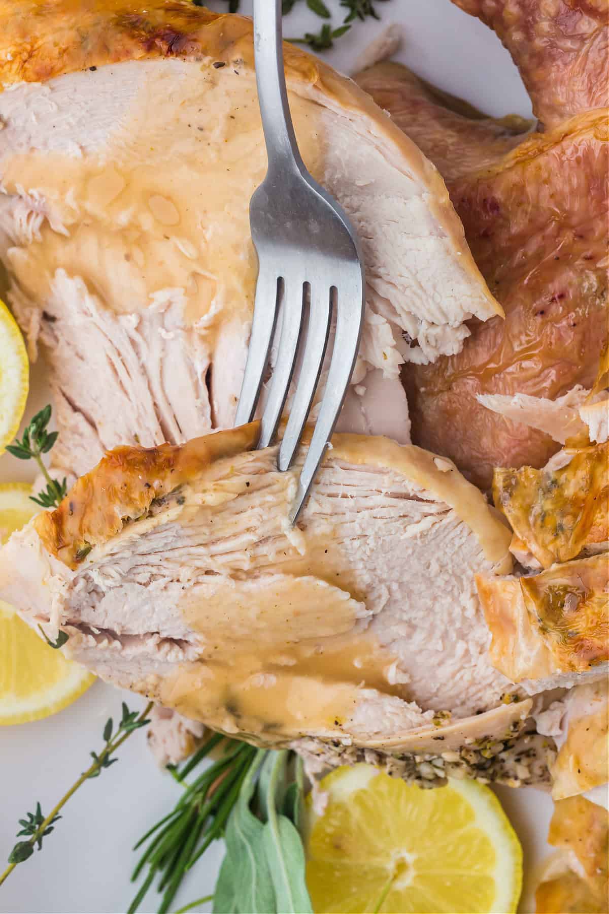 sliced roasted spatchcock turkey on a plate with gravy on it, with a fork.