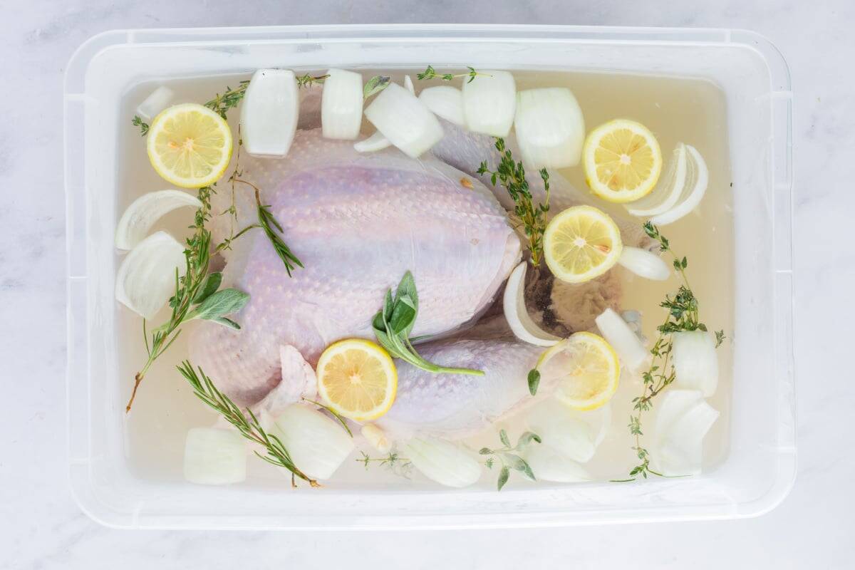 a whole turkey in a brine of water, onion, lemon and spices.