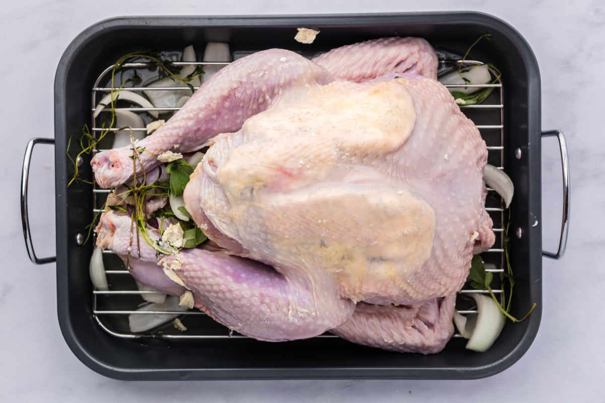 a whole uncooked turkey in a roasting pan with a butter rub and onion and fresh herbs around it.