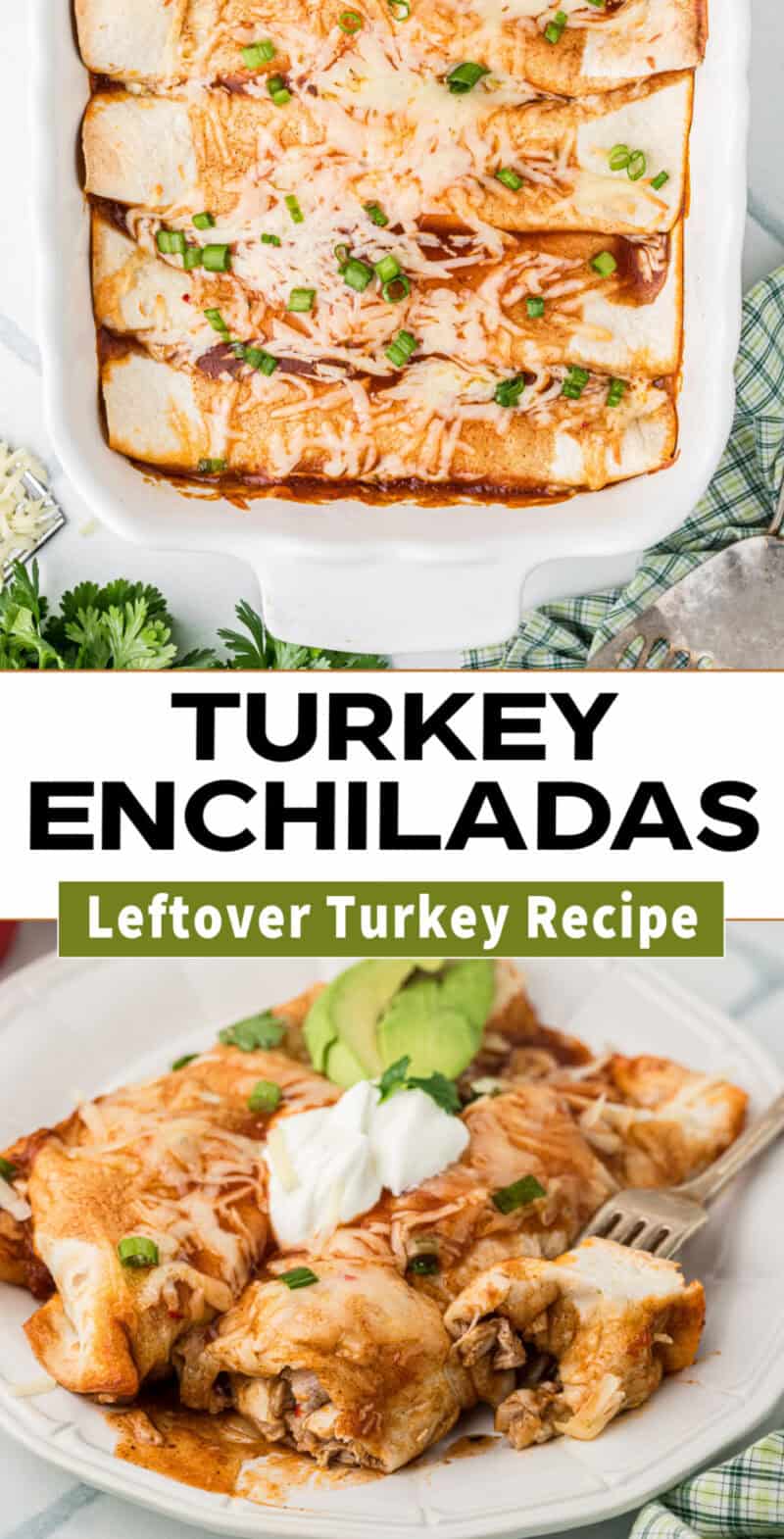 Baked Turkey Enchiladas in a baking dish and on a plate.
