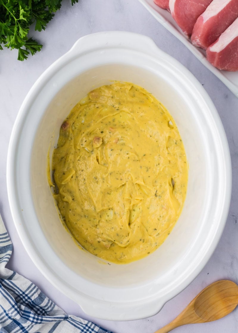 chicken soup and ranch seasoning in the bottom of a crockpot.