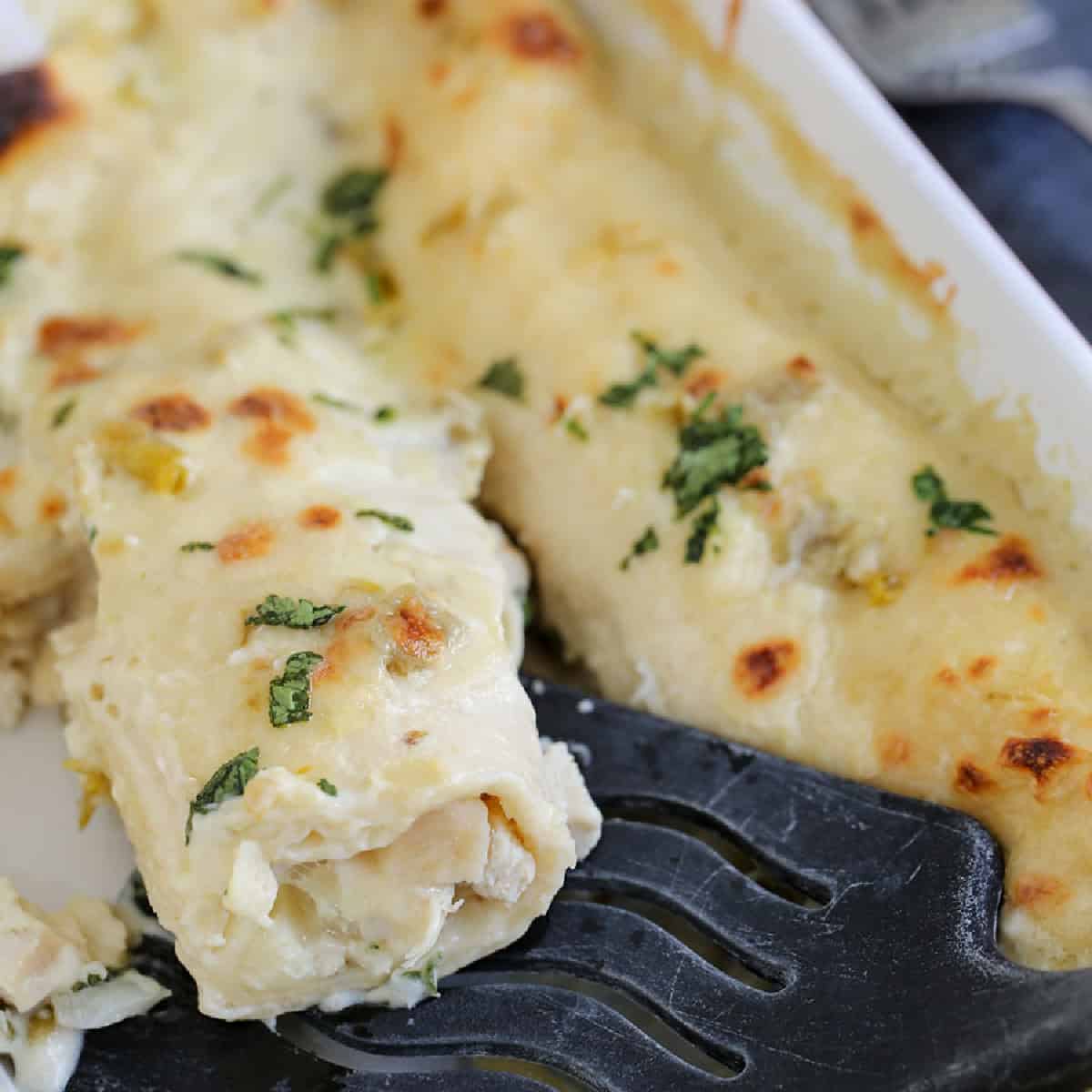 a dish with homemade creamy chicken enchiladas.