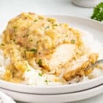 A fork taking a piece of smothered chicken on a plate with rice.